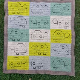 Cowabunga Blanket